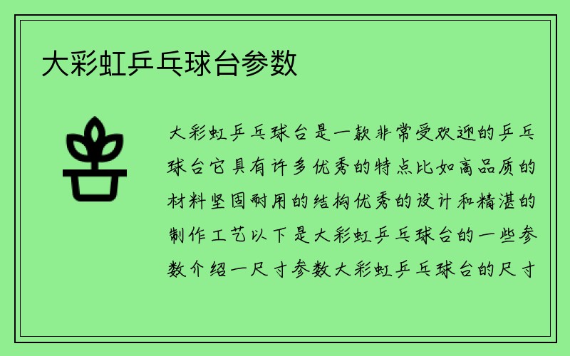 大彩虹乒乓球台参数